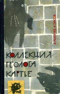 Читайте книги онлайн на Bookidrom.ru! Бесплатные книги в одном клике Яков Рыкачев - Коллекция геолога Картье