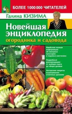 Галина Кизима - Новейшая энциклопедия огородника и садовода