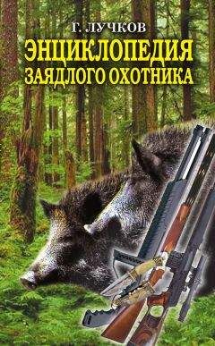 Читайте книги онлайн на Bookidrom.ru! Бесплатные книги в одном клике Геннадий Лучков - Энциклопедия заядлого охотника. 500 секретов мужского удовольствия