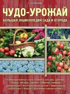 Читайте книги онлайн на Bookidrom.ru! Бесплатные книги в одном клике Галина Полякова - Чудо-урожай. Большая энциклопедия сада и огорода