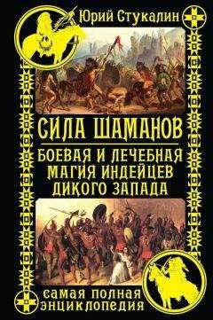 Читайте книги онлайн на Bookidrom.ru! Бесплатные книги в одном клике Юрий Стукалин - Сила шаманов. Боевая и лечебная магия индейцев Дикого Запада