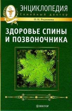 Читайте книги онлайн на Bookidrom.ru! Бесплатные книги в одном клике Ольга Родионова - Здоровье спины и позвоночника. Энциклопедия