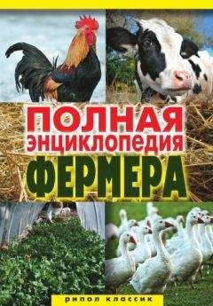 Читайте книги онлайн на Bookidrom.ru! Бесплатные книги в одном клике Алексей Гаврилов - Полная энциклопедия фермера