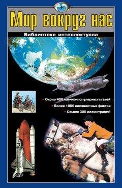 Читайте книги онлайн на Bookidrom.ru! Бесплатные книги в одном клике Любовь Кашинская - Мир вокруг нас