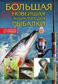 Читайте книги онлайн на Bookidrom.ru! Бесплатные книги в одном клике Алексей Горяйнов - Большая новейшая энциклопедия рыбалки