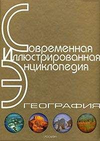 Читайте книги онлайн на Bookidrom.ru! Бесплатные книги в одном клике Александр Горкин - Энциклопедия «География». Часть 2. М – Я (с иллюстрациями)