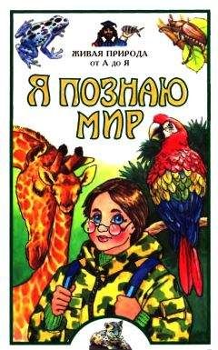 Читайте книги онлайн на Bookidrom.ru! Бесплатные книги в одном клике Е. Васильева - Я познаю мир. Живая природа от А до Я