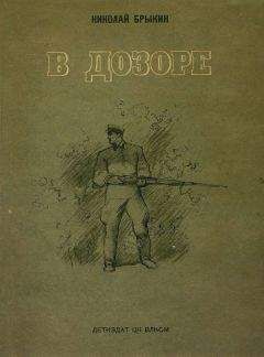 Читайте книги онлайн на Bookidrom.ru! Бесплатные книги в одном клике Николай Брыкин - В дозоре