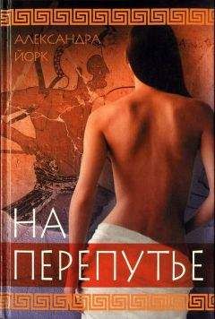 Читайте книги онлайн на Bookidrom.ru! Бесплатные книги в одном клике Александра Йорк - На перепутье