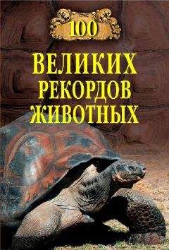 Читайте книги онлайн на Bookidrom.ru! Бесплатные книги в одном клике Анатолий Бернацкий - Сто великих рекордов животных