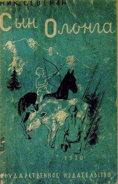 Читайте книги онлайн на Bookidrom.ru! Бесплатные книги в одном клике Николай Северин - Сын Олонга