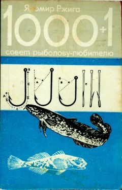 Читайте книги онлайн на Bookidrom.ru! Бесплатные книги в одном клике Яромир Ржига - 1000+1 совет рыболову-любителю