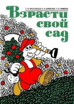 Читайте книги онлайн на Bookidrom.ru! Бесплатные книги в одном клике Евгений Ярославцев - Взрасти свой сад