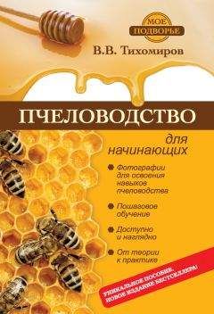Читайте книги онлайн на Bookidrom.ru! Бесплатные книги в одном клике Вадим Тихомиров - Пчеловодство для начинающих