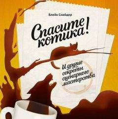Читайте книги онлайн на Bookidrom.ru! Бесплатные книги в одном клике Блейк Снайдер - Спасите котика! И другие секреты сценарного мастерства