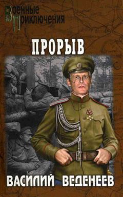 Читайте книги онлайн на Bookidrom.ru! Бесплатные книги в одном клике Василий Веденеев - Опекун безумца