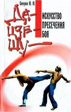 Читайте книги онлайн на Bookidrom.ru! Бесплатные книги в одном клике Юрий Сенчуков - Да-цзе-шу — искусство пресечения боя