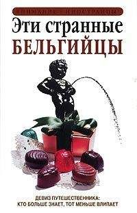 Читайте книги онлайн на Bookidrom.ru! Бесплатные книги в одном клике Энтони Мейсон - Эти странные бельгийцы