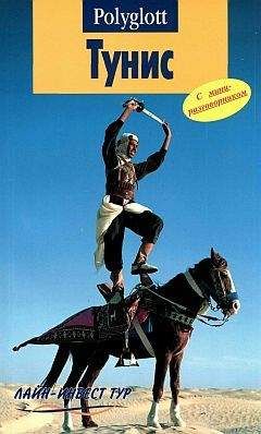 Читайте книги онлайн на Bookidrom.ru! Бесплатные книги в одном клике Фридрих Кёте - Тунис. Путеводитель с мини-разговорником