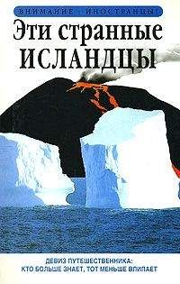 Читайте книги онлайн на Bookidrom.ru! Бесплатные книги в одном клике Ричард Сейл - Эти странные исландцы