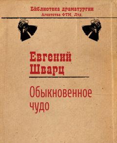 Читайте книги онлайн на Bookidrom.ru! Бесплатные книги в одном клике Евгений Шварц - Обыкновенное чудо