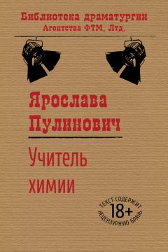 Читайте книги онлайн на Bookidrom.ru! Бесплатные книги в одном клике Ярослава Пулинович - Учитель химии