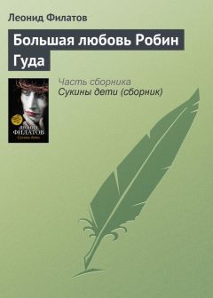 Читайте книги онлайн на Bookidrom.ru! Бесплатные книги в одном клике Леонид Филатов - Большая любовь Робин Гуда