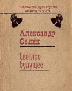 Читайте книги онлайн на Bookidrom.ru! Бесплатные книги в одном клике Александр Селин - Светлое будущее