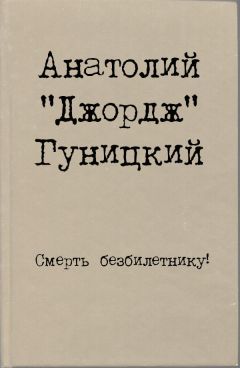 Читайте книги онлайн на Bookidrom.ru! Бесплатные книги в одном клике Анатолий Гуницкий - Смерть безбилетнику!