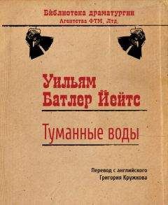 Читайте книги онлайн на Bookidrom.ru! Бесплатные книги в одном клике Уильям Йейтс - Туманные воды
