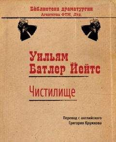 Читайте книги онлайн на Bookidrom.ru! Бесплатные книги в одном клике Уильям Йейтс - Чистилище