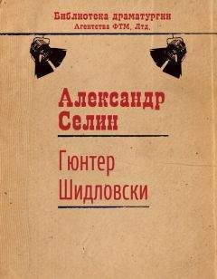 Читайте книги онлайн на Bookidrom.ru! Бесплатные книги в одном клике Александр Селин - Гюнтер Шидловски