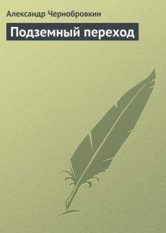 Читайте книги онлайн на Bookidrom.ru! Бесплатные книги в одном клике Александр Чернобровкин - Подземный переход