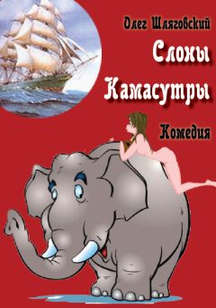 Читайте книги онлайн на Bookidrom.ru! Бесплатные книги в одном клике Олег Шляговский - Слоны Камасутры