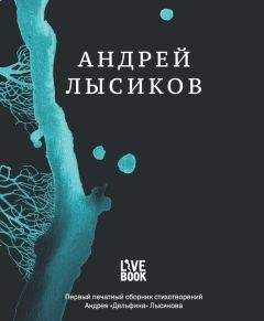 Читайте книги онлайн на Bookidrom.ru! Бесплатные книги в одном клике Андрей Лысиков - Стихи