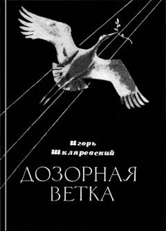 Читайте книги онлайн на Bookidrom.ru! Бесплатные книги в одном клике Игорь Шкляревский - Дозорная ветка. Стихи и переводы
