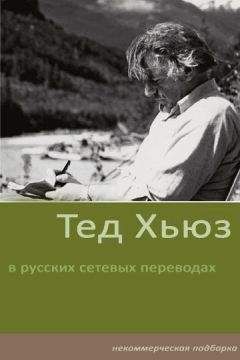 Читайте книги онлайн на Bookidrom.ru! Бесплатные книги в одном клике Тед Хьюз - Стихотворения