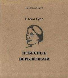 Читайте книги онлайн на Bookidrom.ru! Бесплатные книги в одном клике Елена Гуро - Небесные верблюжата. Избранное