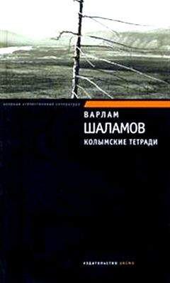 Читайте книги онлайн на Bookidrom.ru! Бесплатные книги в одном клике Варлам Шаламов - Колымские тетради