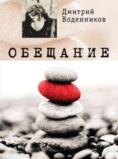 Читайте книги онлайн на Bookidrom.ru! Бесплатные книги в одном клике Дмитрий Воденников - Обещание