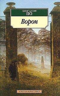 Читайте книги онлайн на Bookidrom.ru! Бесплатные книги в одном клике Эдгар По - Ворон (в разных переводах)