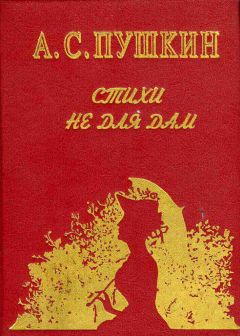 Читайте книги онлайн на Bookidrom.ru! Бесплатные книги в одном клике Александр Пушкин - Стихи не для дам