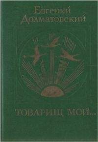 Читайте книги онлайн на Bookidrom.ru! Бесплатные книги в одном клике Евгений Долматовский - Товарищ мой
