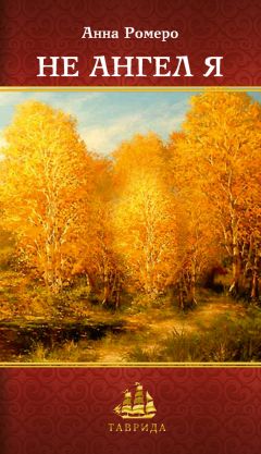 Читайте книги онлайн на Bookidrom.ru! Бесплатные книги в одном клике Анна Ромеро - Не ангел я