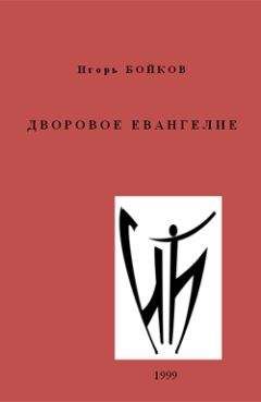 Читайте книги онлайн на Bookidrom.ru! Бесплатные книги в одном клике Игорь Бойков - Дворовое Евангелие