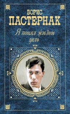 Читайте книги онлайн на Bookidrom.ru! Бесплатные книги в одном клике Борис Пастернак - «Я понял жизни цель» (проза, стихотворения, поэмы, переводы)