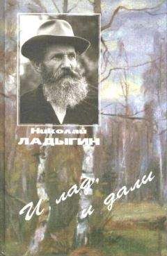 Читайте книги онлайн на Bookidrom.ru! Бесплатные книги в одном клике Николай Ладыгин - И лад, и дали