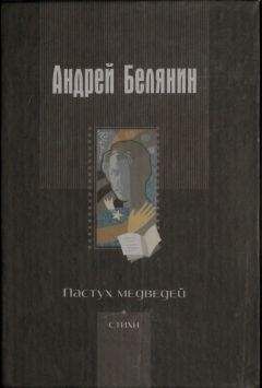 Читайте книги онлайн на Bookidrom.ru! Бесплатные книги в одном клике Андрей Белянин - Пастух медведей