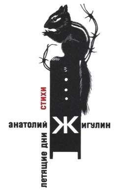 Читайте книги онлайн на Bookidrom.ru! Бесплатные книги в одном клике Анатолий Жигулин - Летящие дни