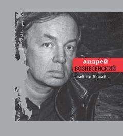 Читайте книги онлайн на Bookidrom.ru! Бесплатные книги в одном клике Андрей Вознесенский - Ямбы и блямбы